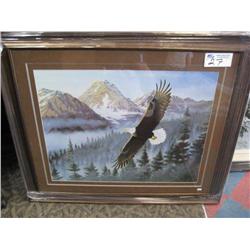 eagle  & Mountains  Framed Print