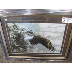 eagle Framed Print