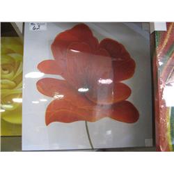 red Poppy   Canvas Print