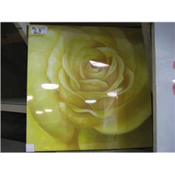 yellow Rose Canvas Print