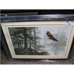 eagle Framed Print