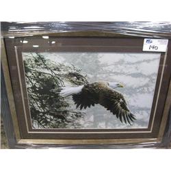eagle Framed Print