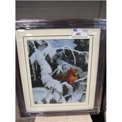 bird Framed Print