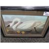 Image 1 : swan Framed Print