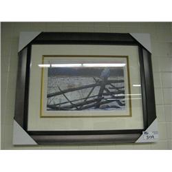 winter Light Lep By Jay Vanderbrink