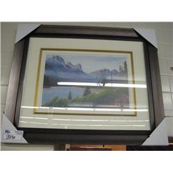 the Road Less Travelled Lep Framed Print