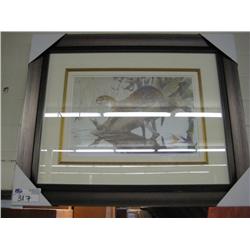 river Otter And Swallow Lep Framed Print