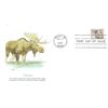 Image 1 : Moose FDC