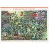 Image 1 : 2010 Hawaiian Rain Forest stamp set of 9