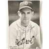 Image 1 : Detroit Tigers John Lipon signed photo