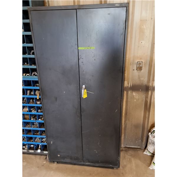 Storage Cabinet with Shelves