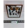 Image 1 : Small Asian Insect Set in Display Case - 6" x 6"  Formaldehyde Smell- PICK UP ONLY