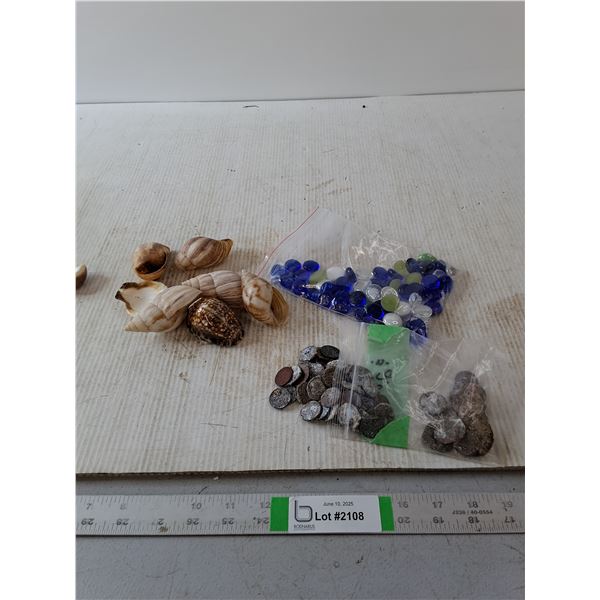 Sea Shells Maui Ocean Pennies