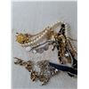 Image 3 : Necklaces and Misc Jewelry