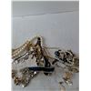 Image 4 : Necklaces and Misc Jewelry