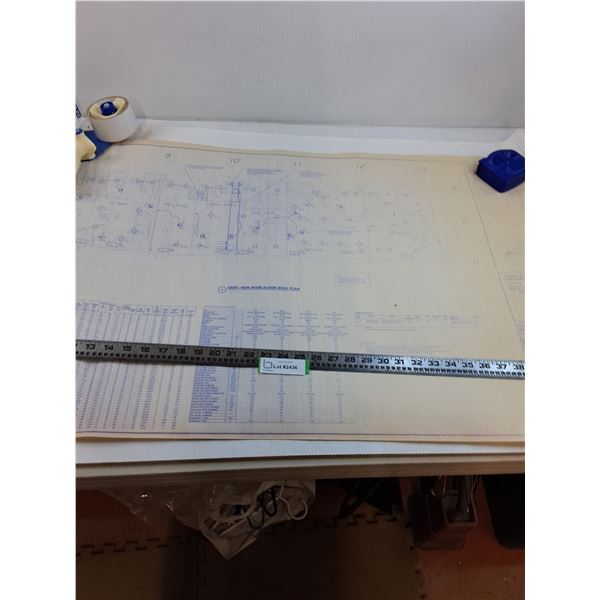 Bulk Blueprints of Carlton Court Shopping Center in Prince Albert