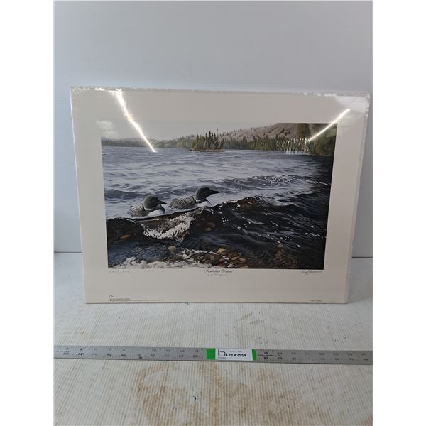 Ducks Unlimited Turbulent Waters Photo Unframed(22"×17")