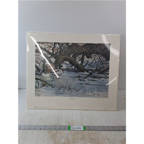 Ducks Unlimited Unframed Picture(22"×18.5")