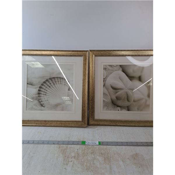 2 Pictures in Frames (18.5"×18.5")