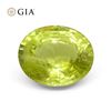 Image 1 : Huge Rare 12.88 Ct GIA Certified Chrysoberyl