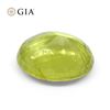 Image 4 : Huge Rare 12.88 Ct GIA Certified Chrysoberyl