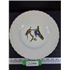 Image 1 : Audubos Passenger Pigeon Plate - 11" Diameter