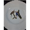 Image 2 : Audubos Passenger Pigeon Plate - 11" Diameter