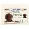 Image 1 : Back to the Future Emmett Brown CA Driver License
