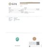 Image 6 : GIA Cert 9.25 ctw Emerald and Diamond Ring - 14KT White Gold