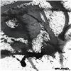 Image 2 : Untitled Abstract by Wyland Original