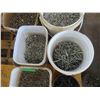 Image 3 : Pallet Lot: Large Variety of Screws, Drywall, Sheet 