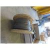 Image 2 : Roll of 1'' Rubber Garden Hose 