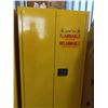 Image 1 : Zenith Flammable 2 Door Cabinet with Adjustable 