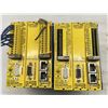 Image 1 : (2) DLNA #SIL CL3 PLe / DN-R00004668 Safeline Modules