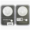 Image 2 : [2]2013 Silver Eagle  Genuine