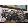 Image 2 : BLACK CORAL TREE BRANCH