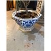 Image 2 : LIVE LIME TREE IN BLUE & WHITE PORCELAIN PLANTER (51")