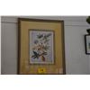 Image 1 : FRAMED BOTANICAL ILLUSTRATION (PASSION FLOWER)