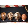 Image 2 : COWRIE (TIGER & 1 GOLDEN) (4 PCS)