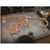 Image 2 : 3 Meat Hooks & 1 Tow Chain