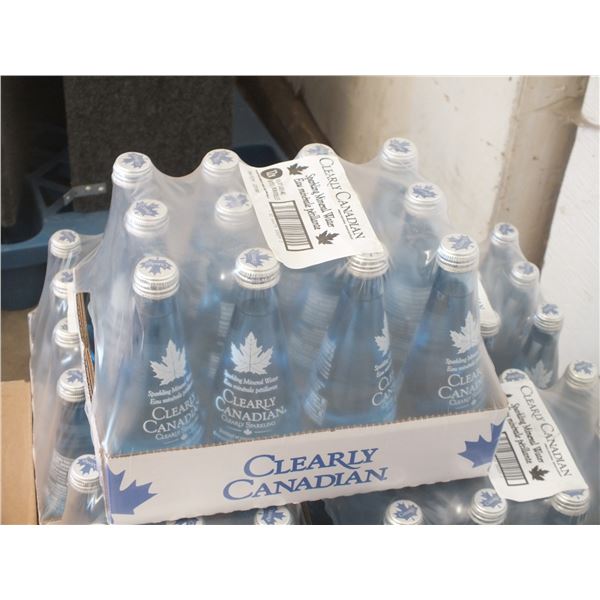 1 Case Of Clearly Canadian Sparkling Water