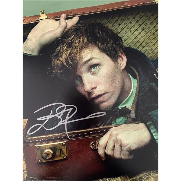 Fantastic Beasts Eddie Redmayne signed photo
