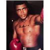Image 1 : Muhammad Ali signed photo
