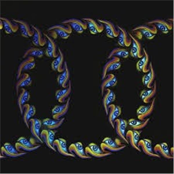 NEW VINYL- TOOL LATERALUS