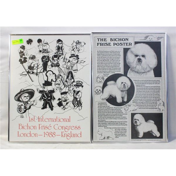 2 FRAMED BICHON FRISE POSTERS 25"X19"