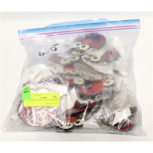 25 SESAME STREET BELT BUCKLES