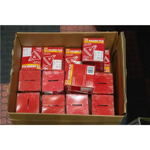 BOX OF HALOGEN FLOOD LIGHTS