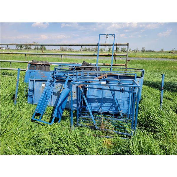 Sheep, goat, calf sorting alley.