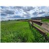 Image 1 : Approx 15 sections of guard rail fence (east side of corral, north to south). Buyer to dismantle and