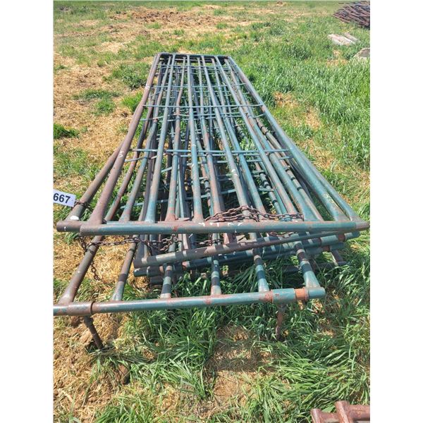 7 gates. 1.75" pipe, 15.5"gates. Some bent.